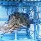 Illustration for article titled BMWs New 500-HP S58 Inline-Six Should be Very Interesting to Supra Fans